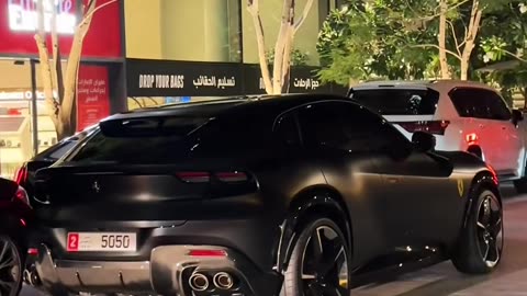 🏎️💨 This V12 Lamborghini Rev Sound is PURE Symphony! | LuxurySportsCars