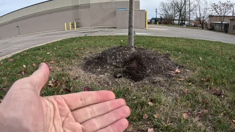 Episode 75 - I hate "I told you so's."