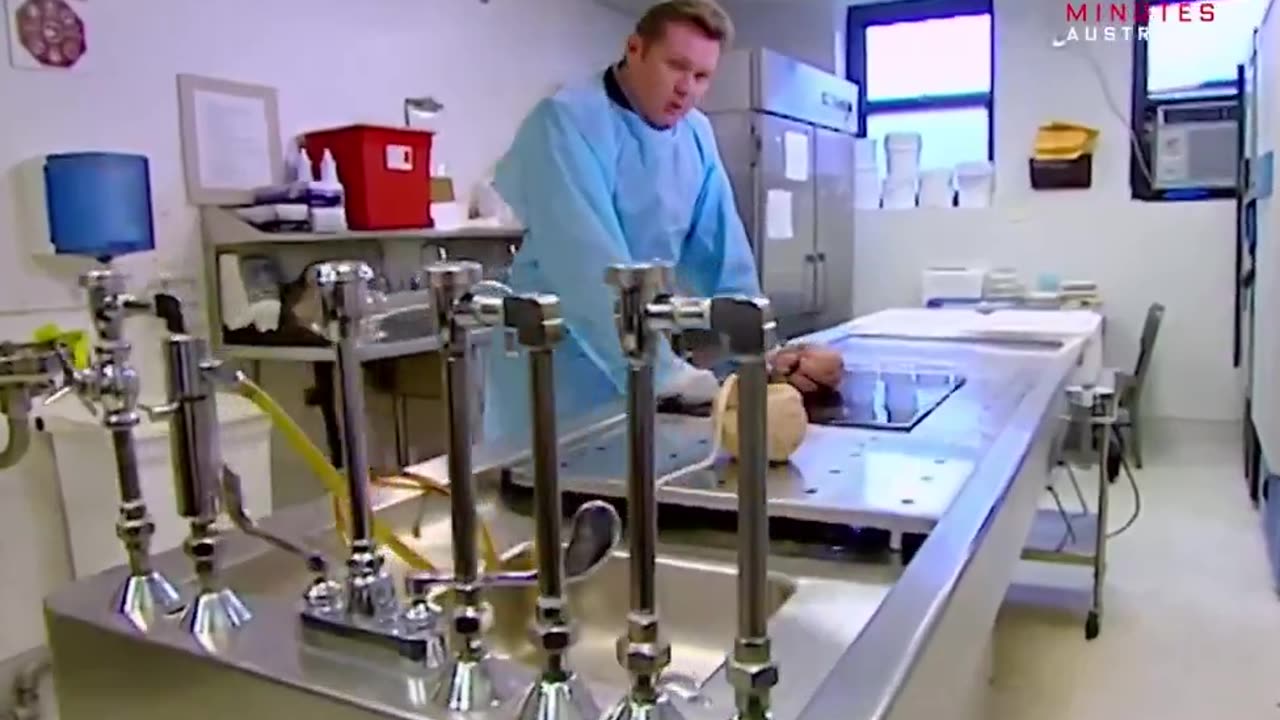 Cutting into a brain of a former football player