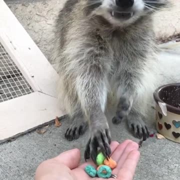 Ohhhh my favorite! 😎😎😎