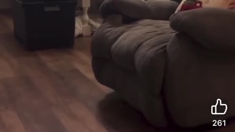 Cottage Hill Christian Academy Teacher Nicole Staples Arrested