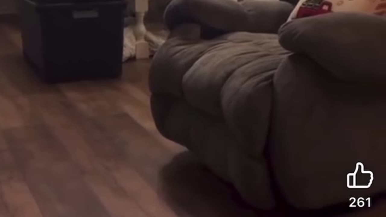 Cottage Hill Christian Academy Teacher Nicole Staples Arrested