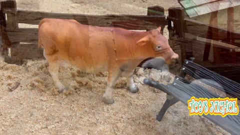 Seven Sheep Look For Leaves During the Day and Return to the Pen in the Evening
