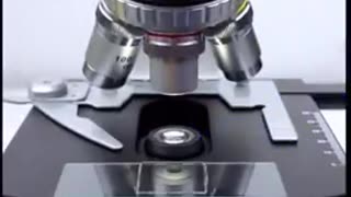 Rainwater under the microscope, germs, micro organisms, cancer cells, parasites