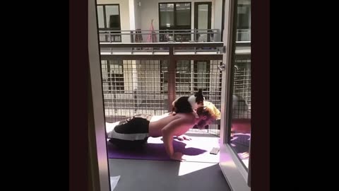 Awkward & Clumsy Learning Moments Of Our Beloved Puppies 🐕‍🦺