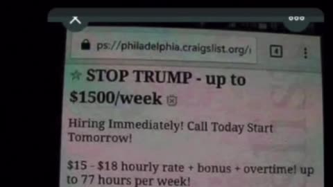 Fools for Sale Only $15/hr