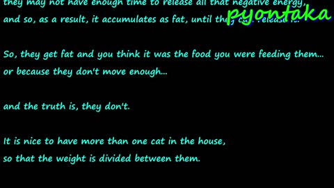 THE MISSION OF A CAT