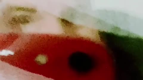 👀😱 The Cat's Eyes... What Are They Watching? | TheHauntingHour