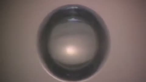 🔭✨ Scientists Create Light by Collapsing Underwater Bubbles! | FeedMyCuriosity