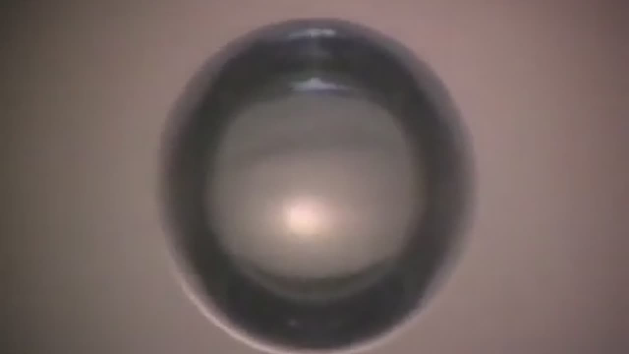 🔭✨ Scientists Create Light by Collapsing Underwater Bubbles! | FeedMyCuriosity
