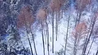 Overtime Warrior – Hardcore Lofi Vibes