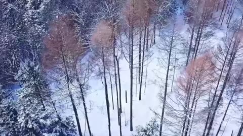 Overtime Warrior – Hardcore Lofi Vibes