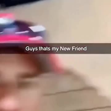 Funny videos full of entertainment compliation videos