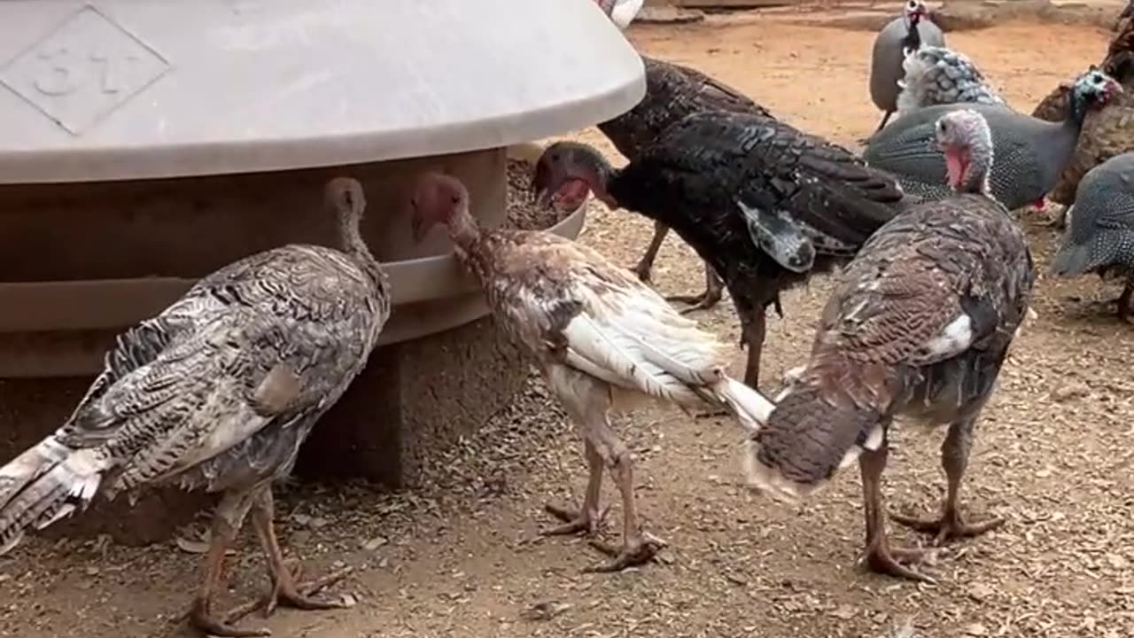 Allan always start their day with a good meal!!!!