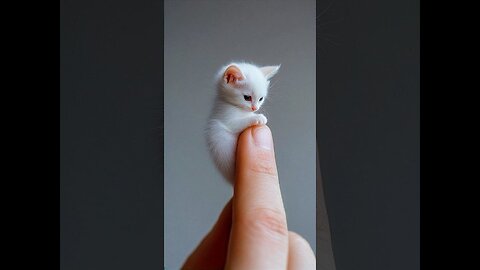 CUTEST Little Animals in the World!