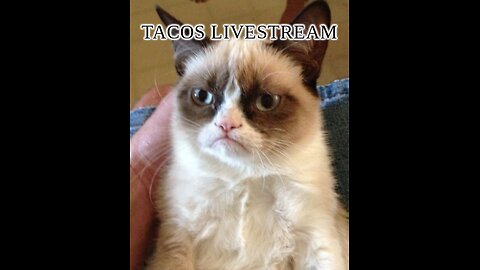 Tacos livestream