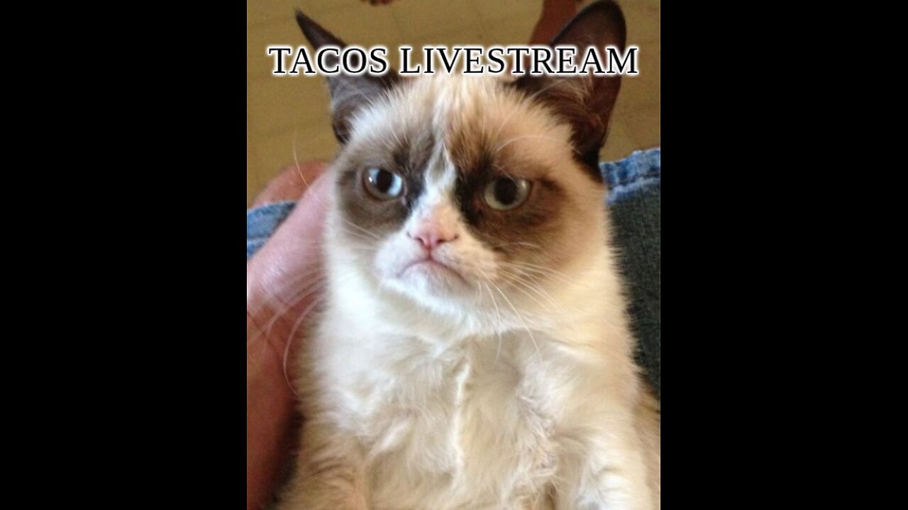 Tacos livestream