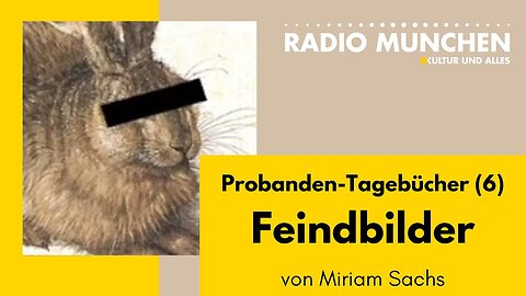 Feindbilder - Die Probanden-Tagebücher #6 von Miriam Sachs