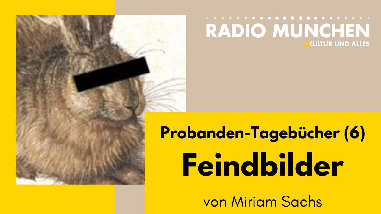 Feindbilder - Die Probanden-Tagebücher #6 von Miriam Sachs
