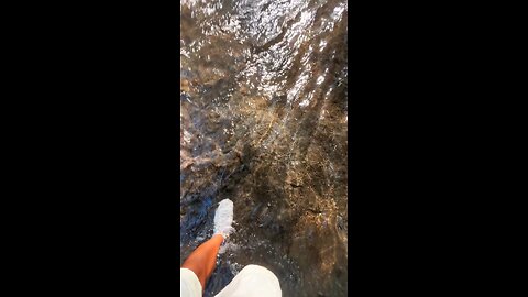 Stunning Nature Bliss 🌿✨