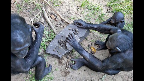 Fasting And Its Benefits