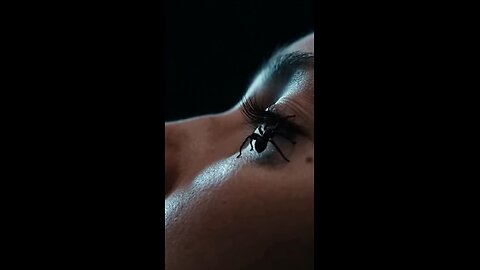 Arachnophobia Origins