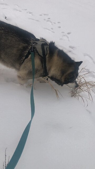 Tuesday December 9, If you are a thief, stop stealing.