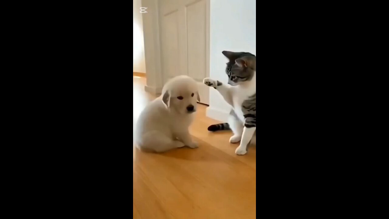 I did nothing lmao 🤣