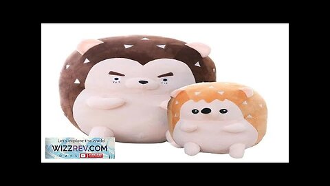 Korea Drama Touch Your Heart Stuffed Hedgehog Plush Toy Stuffed lovely Couple Review