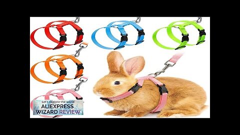 Low Price Rabbit Cat Harness and Leash Set Adjustable Nylon Harnesses Review