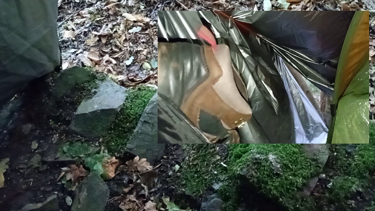 10, crappy phone, moto , miss my chinky,, #2025,