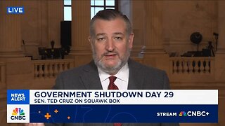 Sen Ted Cruz: This Is Chuck Schumer's Stupid Shutdown