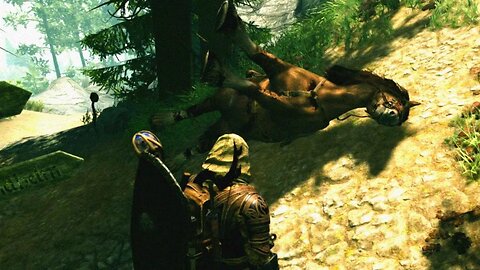 my Horse kicks me off then dies suddenly | Skyrim Fahdon Modpack