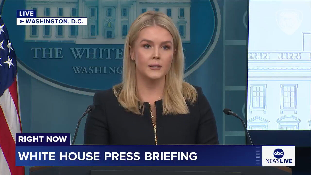 Karoline Leavitt Rattles Off Laundry List Of 'Completely Disgraceful' Behavior From Dems Last Night