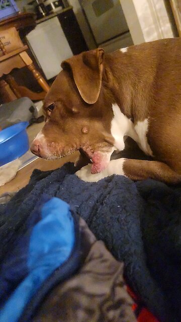 Thank You, you know who you are ❤️