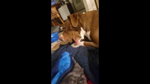 Thank You, you know who you are ❤️