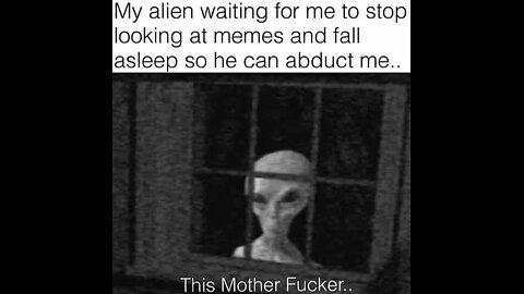 Hooomans get a life