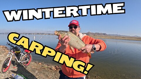 Lake Elsinore Fishing Report: Winter Carp Bite