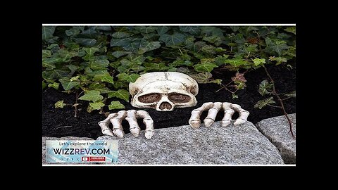 Skeleton Ground Breaker Outdoor Decoration Review