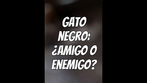 El gato negro en la cultura popular