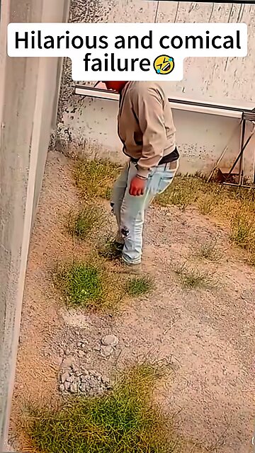 you have to watch this if you need to smile today