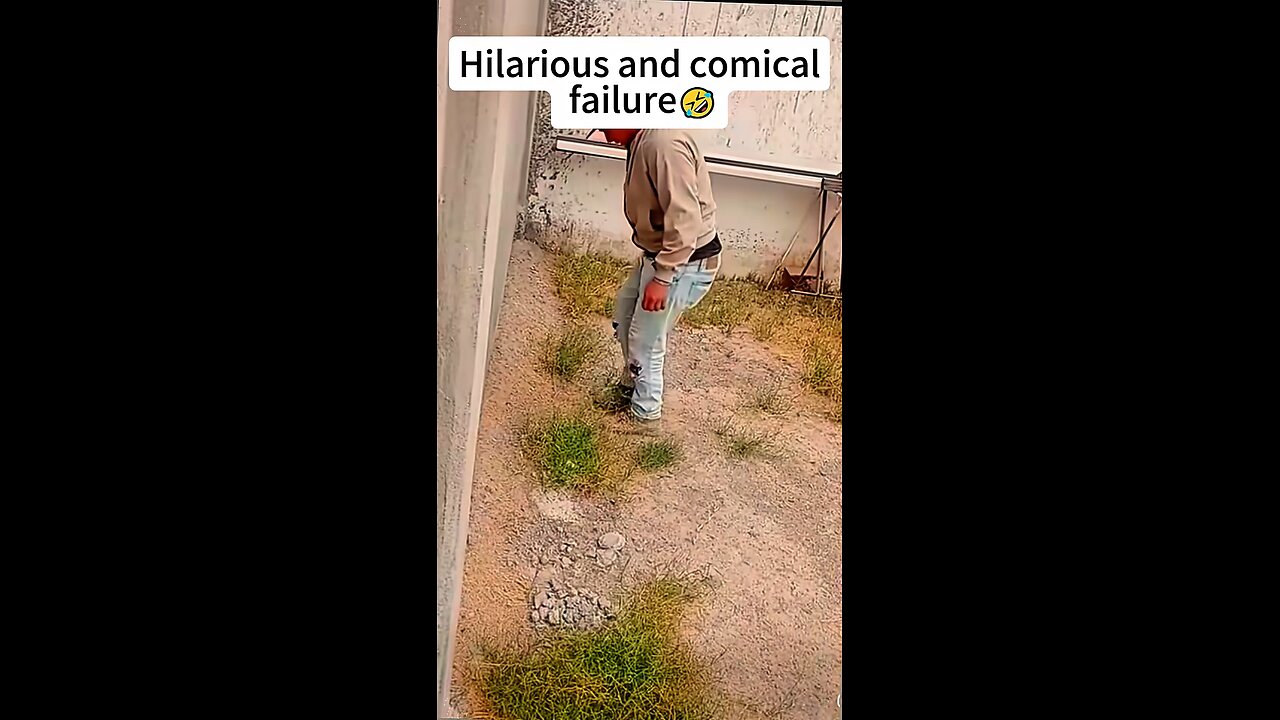 you have to watch this if you need to smile today
