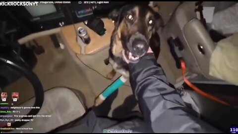 🛑 (RV VOD ONLY) CHICKENANDY (KICK) & DOG, "DONO," BUY "RVX" 1-13-26