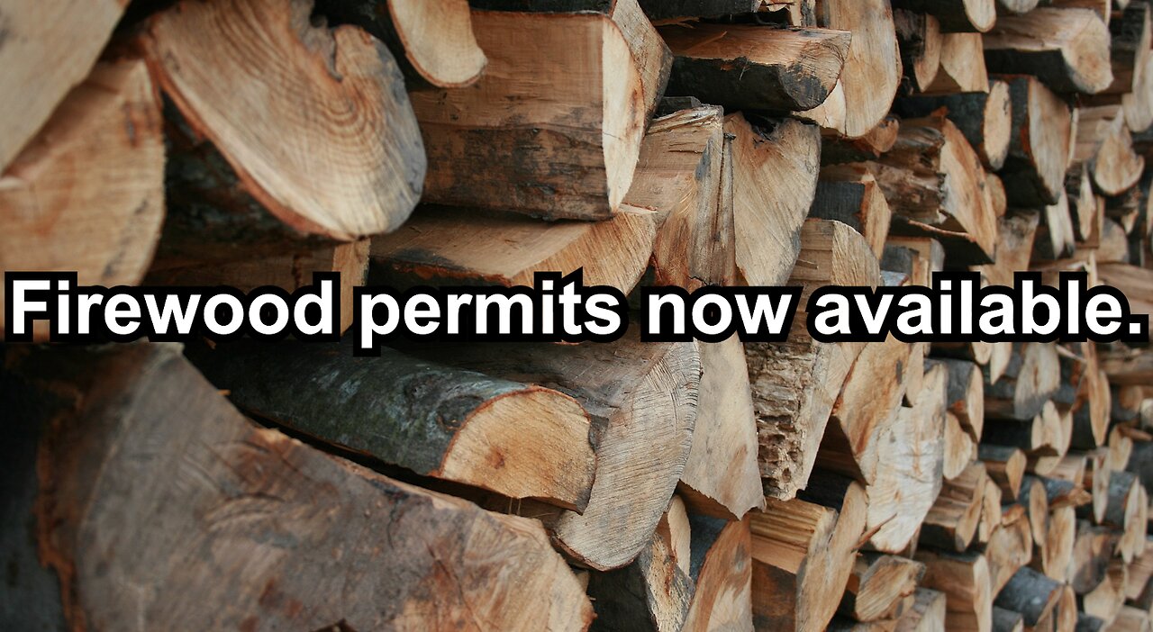 Firewood permits now available.