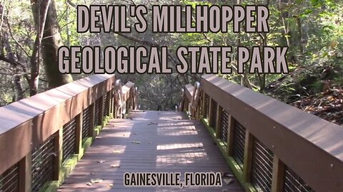 Devil's Millhopper Geological State Park