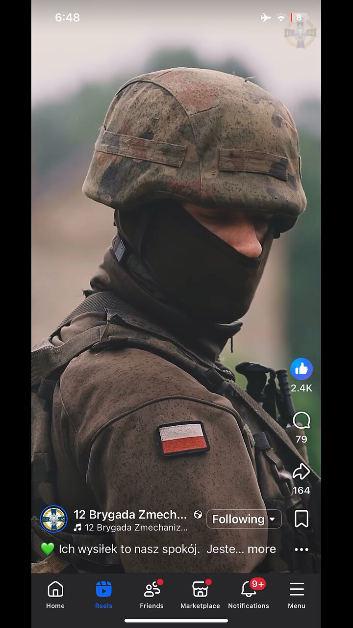 Polish army clip