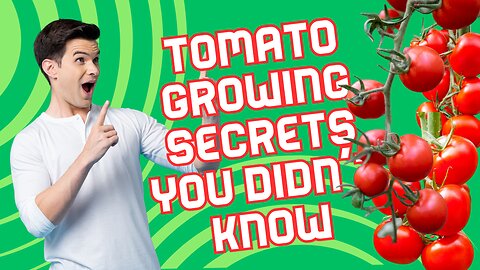 Tomato Growing Secrets You Didn't Know