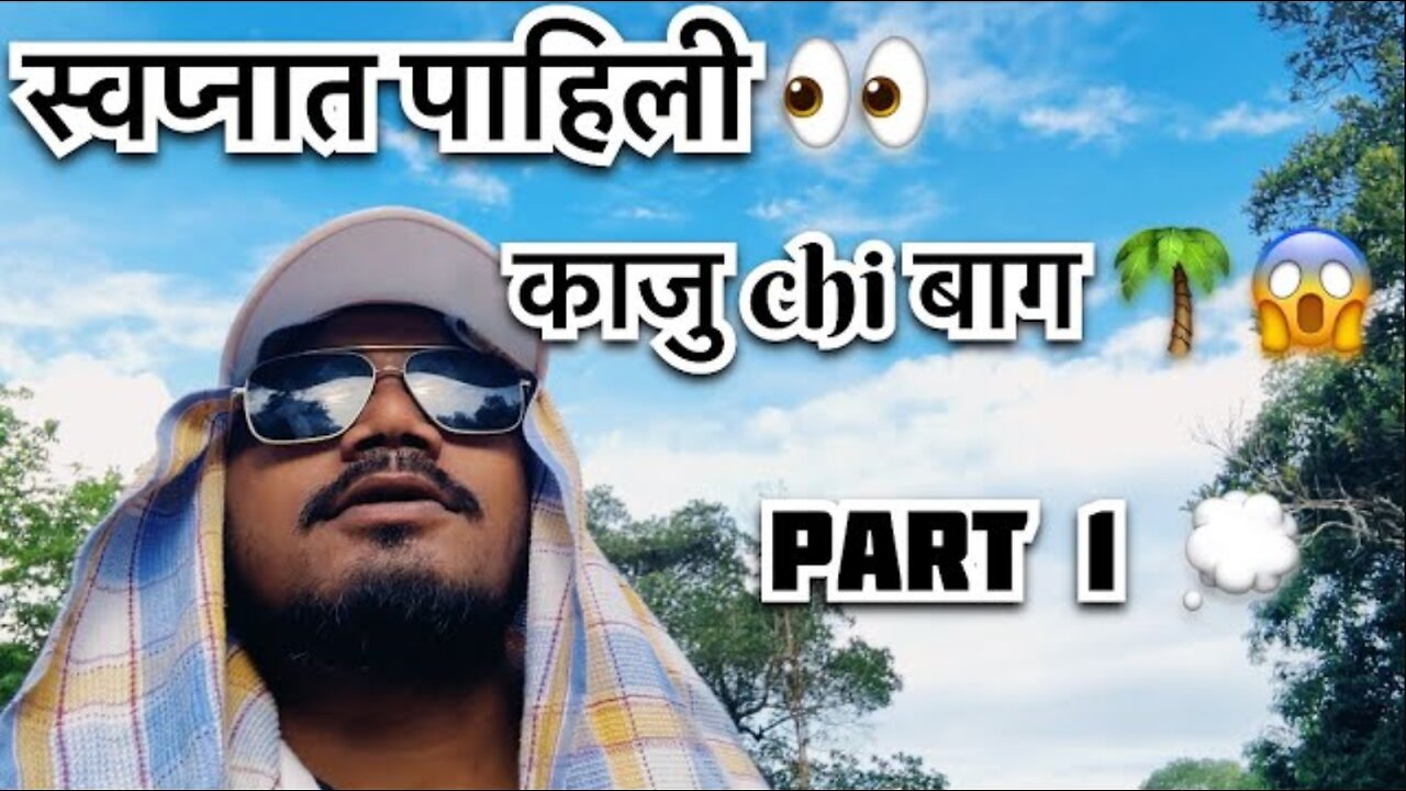 ✨🥵 Cashew farm, a treasure in Konkan🥜 Authentic taste – a must see at least once🤍🌴