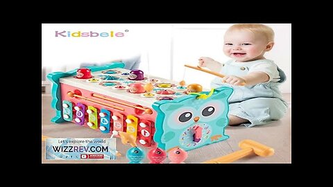 Hammering Toys Montessori 8 in 1 Fishing Games Fine Motor Skill Toddler Review