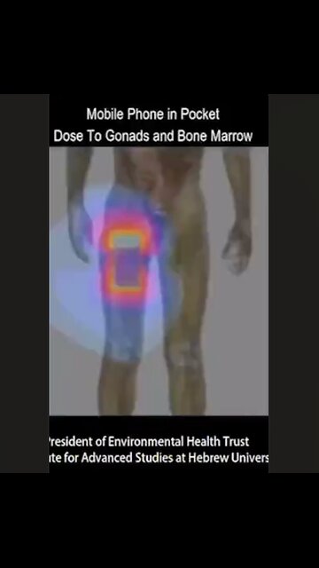 This is what your cell phone is doing to your balls